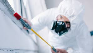 Best Pest Prevention Services  in Cupertino, CA